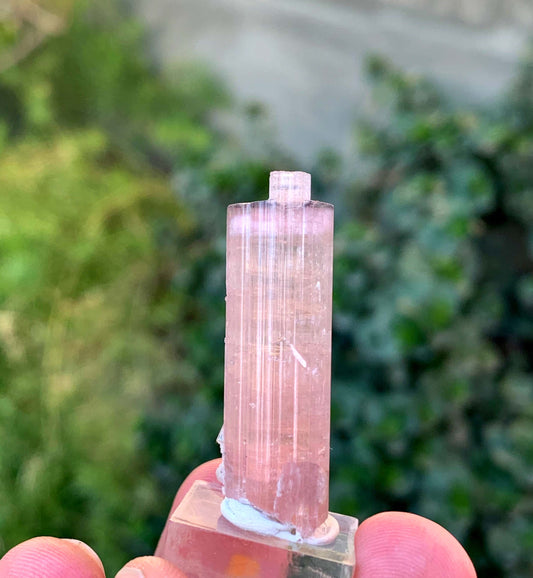 Natural Terminated Pink And Orange Tourmaline Crystal From Afghanistan