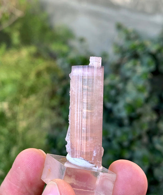 Natural Terminated Pink And Orange Tourmaline Crystal From Afghanistan