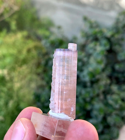 Natural Terminated Pink And Orange Tourmaline Crystal From Afghanistan