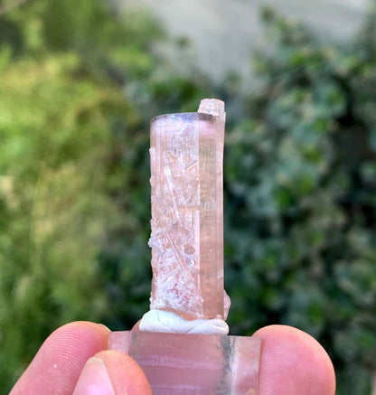 Natural Terminated Pink And Orange Tourmaline Crystal From Afghanistan