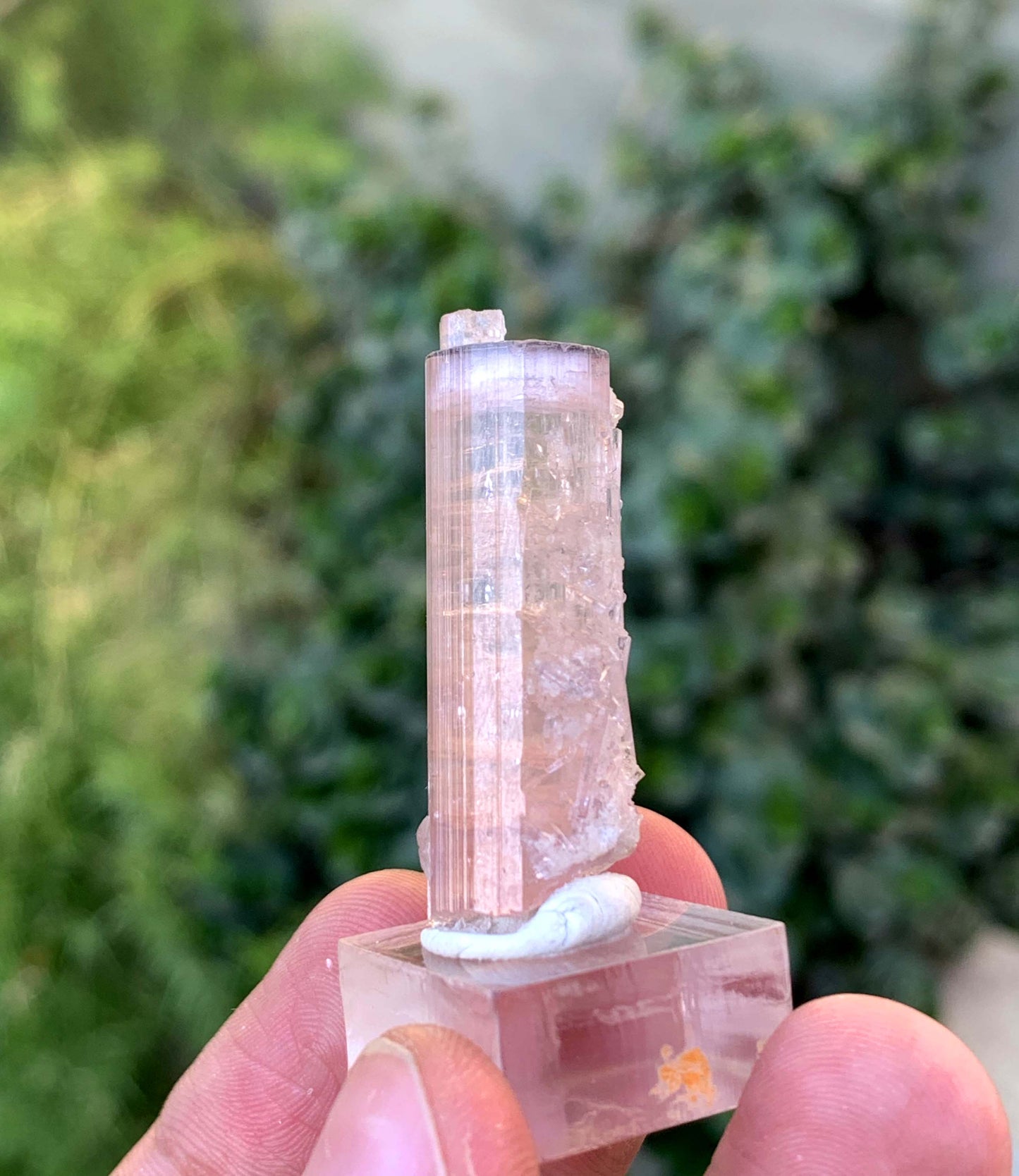 Natural Terminated Pink And Orange Tourmaline Crystal From Afghanistan