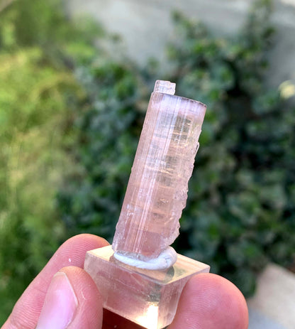 Natural Terminated Pink And Orange Tourmaline Crystal From Afghanistan