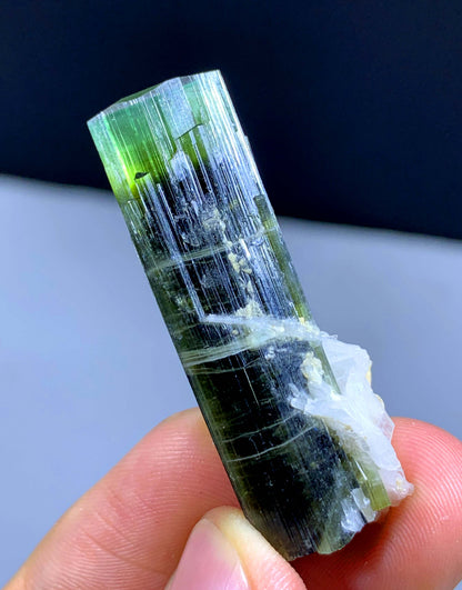 Terminated Green Cap Tourmaline Crystal From Pakistan - 57.70 Carats