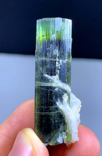 Terminated Green Cap Tourmaline Crystal From Pakistan - 57.70 Carats