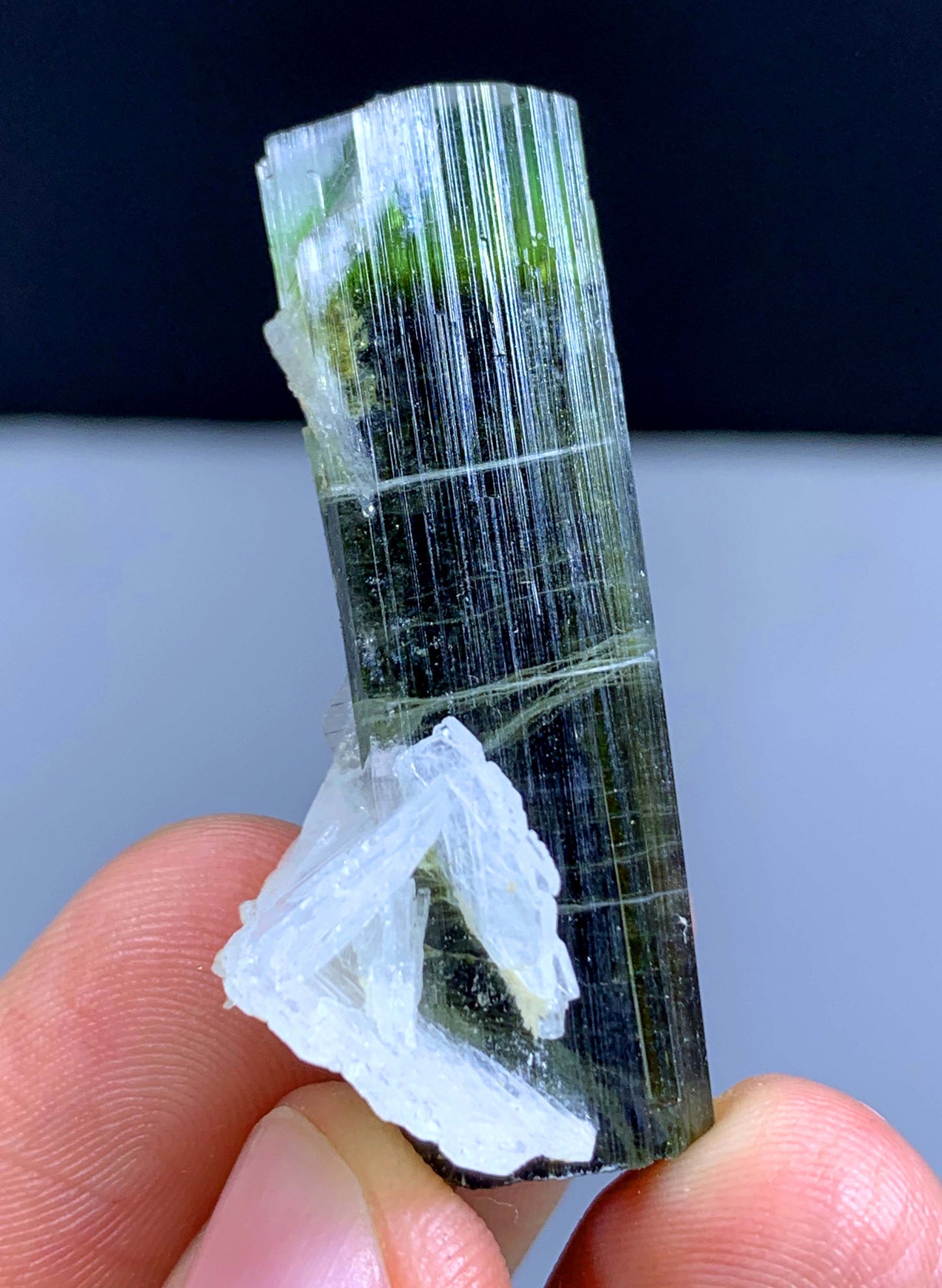 Terminated Green Cap Tourmaline Crystal From Pakistan - 57.70 Carats