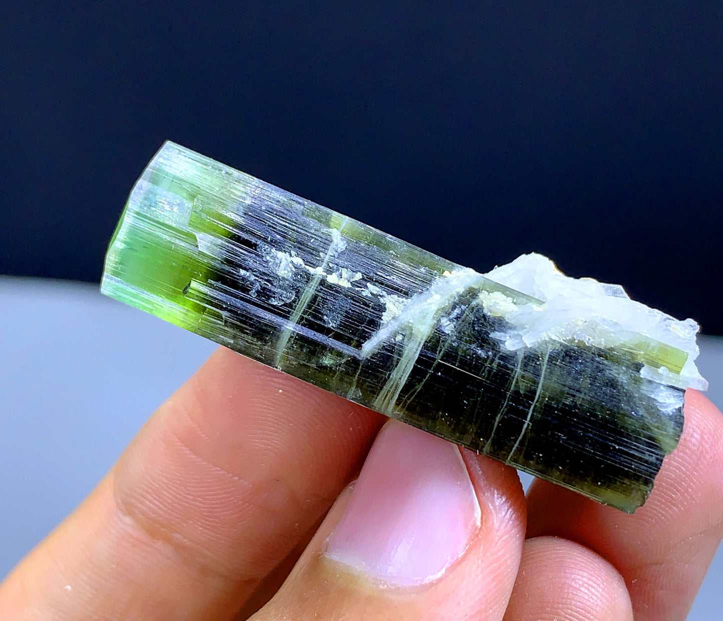 Terminated Green Cap Tourmaline Crystal From Pakistan - 57.70 Carats