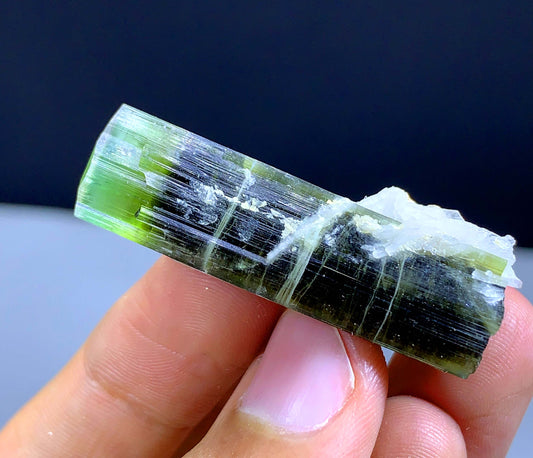 Terminated Green Cap Tourmaline Crystal From Pakistan - 57.70 Carats