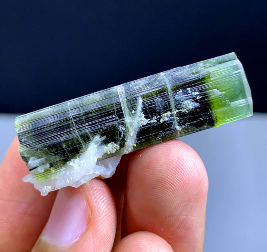 Terminated Green Cap Tourmaline Crystal From Pakistan - 57.70 Carats