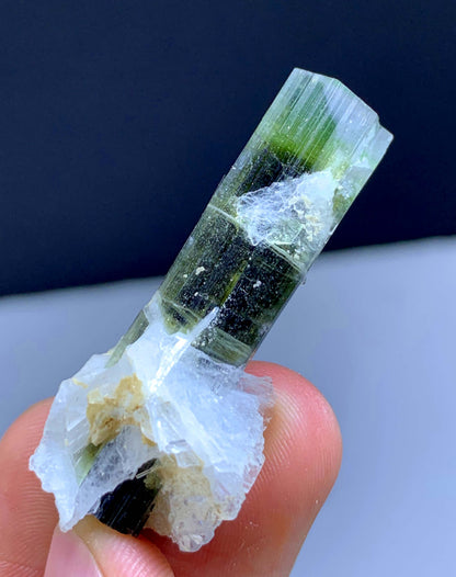 Terminated Green Cap Tourmaline Crystal From Pakistan - 57.70 Carats
