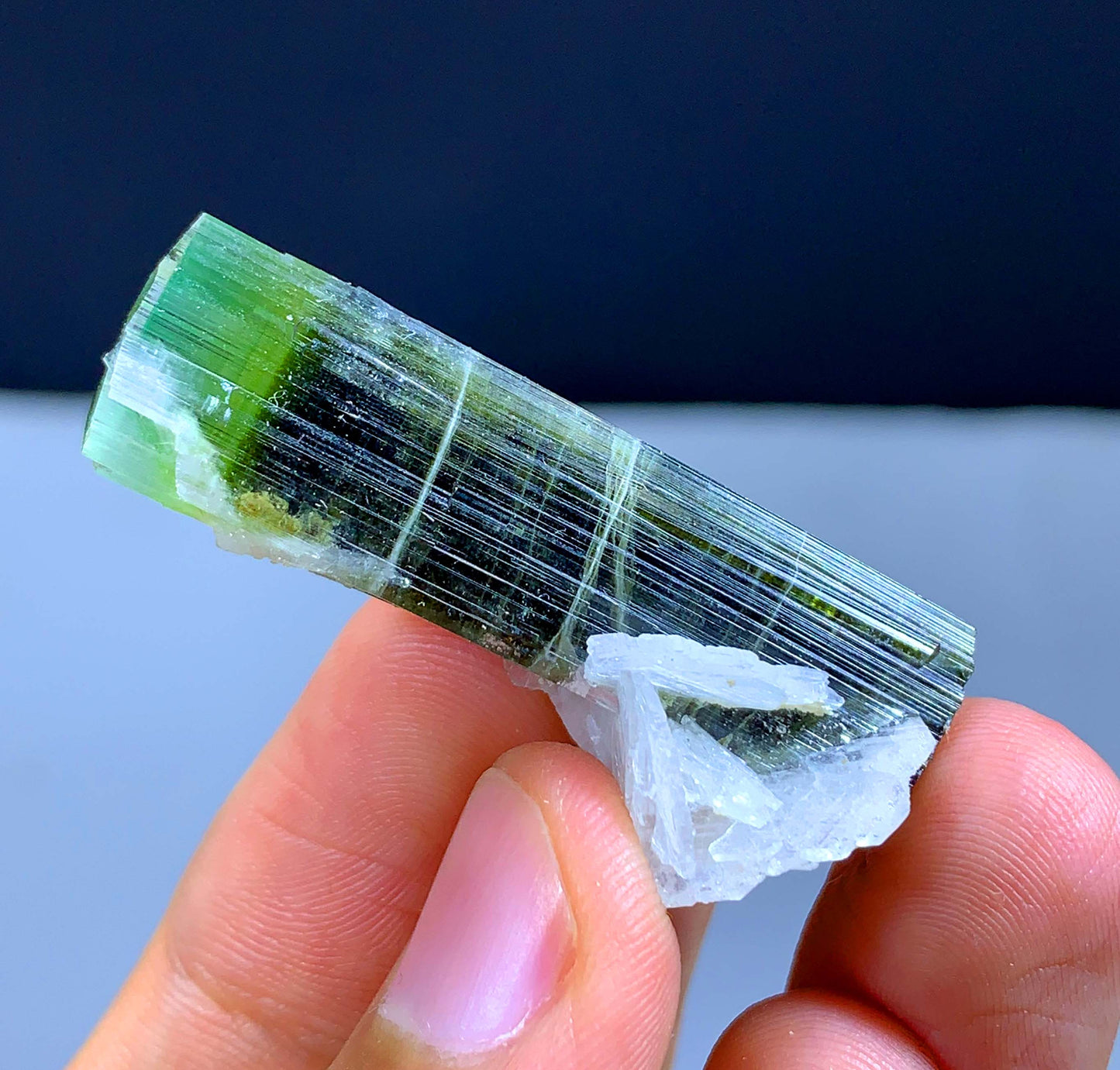 Terminated Green Cap Tourmaline Crystal From Pakistan - 57.70 Carats