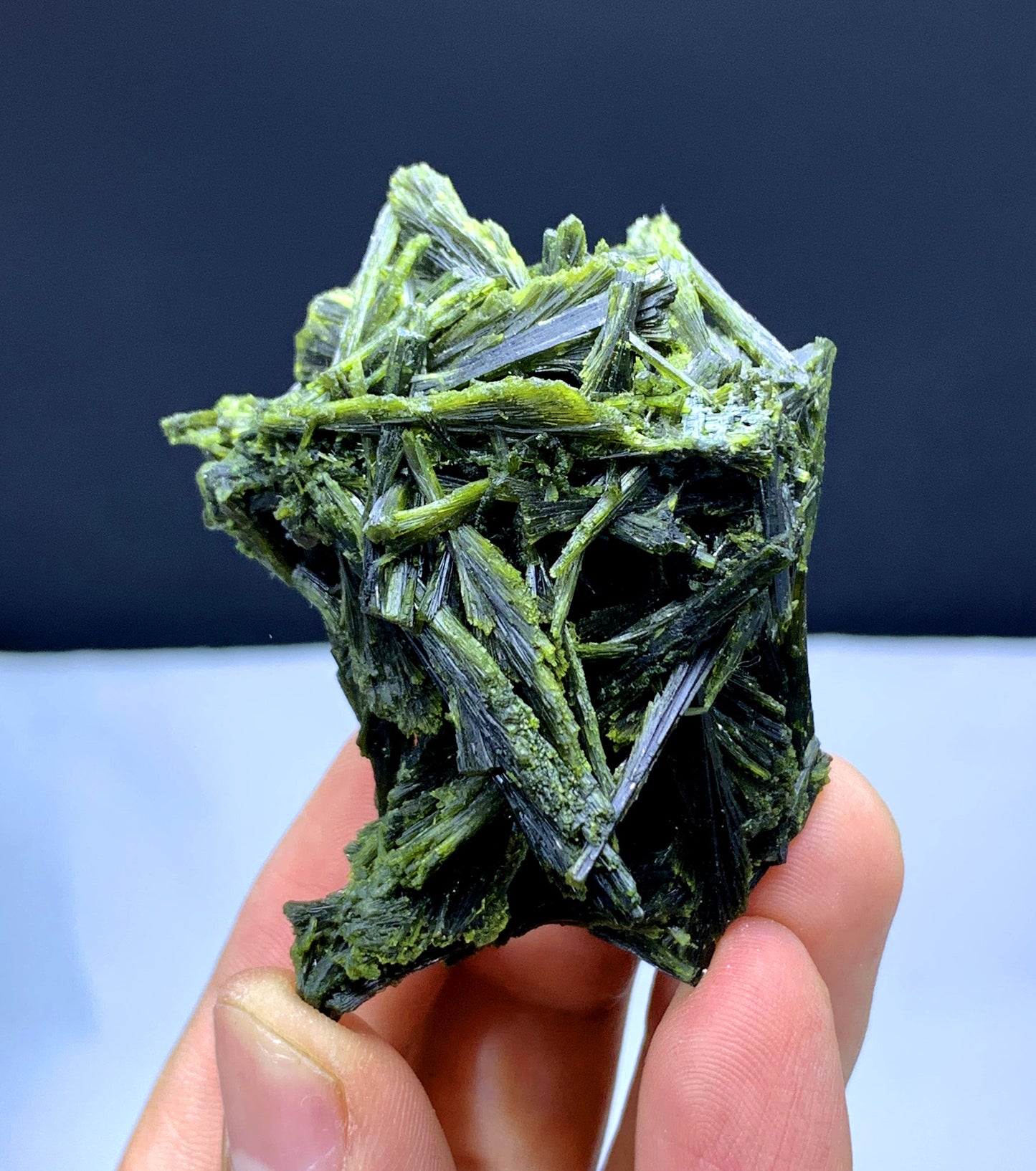 Tree Shape Lush Green Epidote Bunch - 49 gram