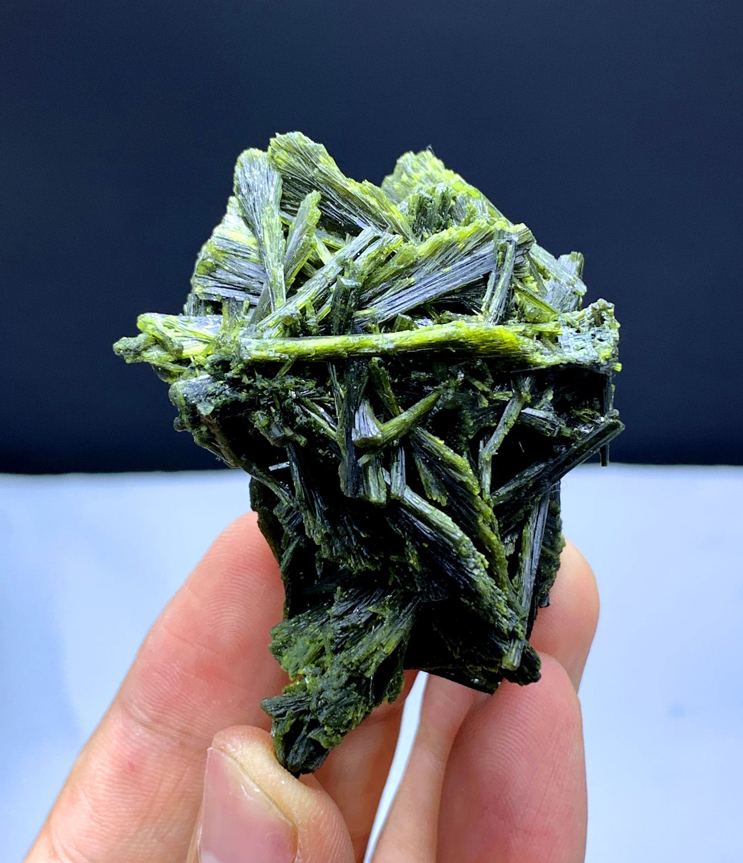 Tree Shape Lush Green Epidote Bunch - 49 gram