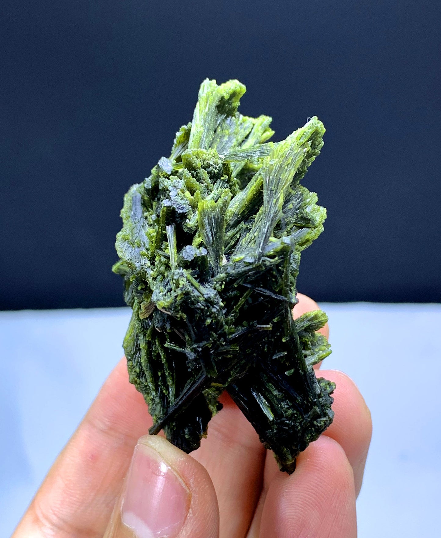 Tree Shape Lush Green Epidote Bunch - 49 gram