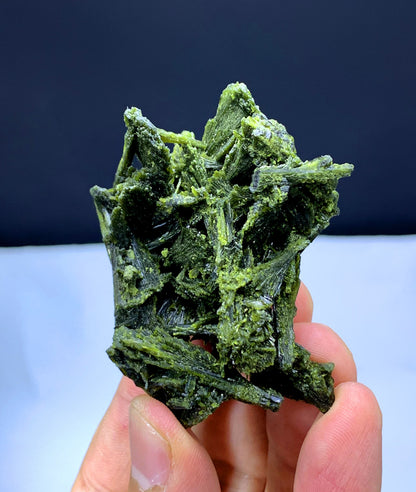 Tree Shape Lush Green Epidote Bunch - 49 gram