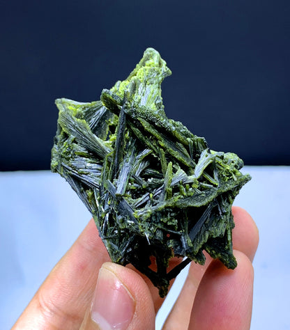 Tree Shape Lush Green Epidote Bunch - 49 gram