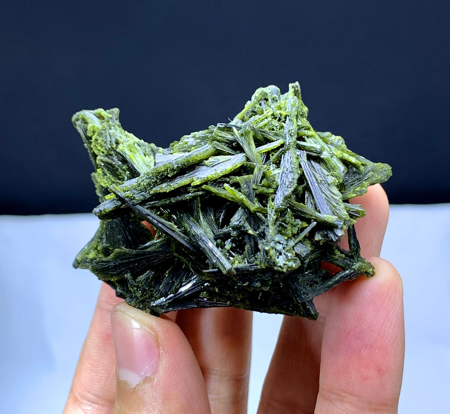 Tree Shape Lush Green Epidote Bunch - 49 gram
