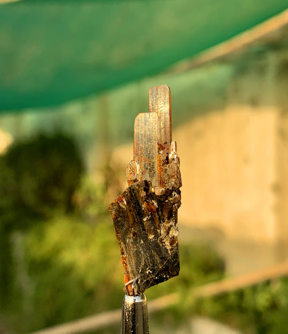 Rare Red Brookite Crystal From Pakistan