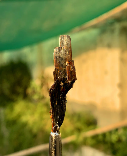Rare Red Brookite Crystal From Pakistan