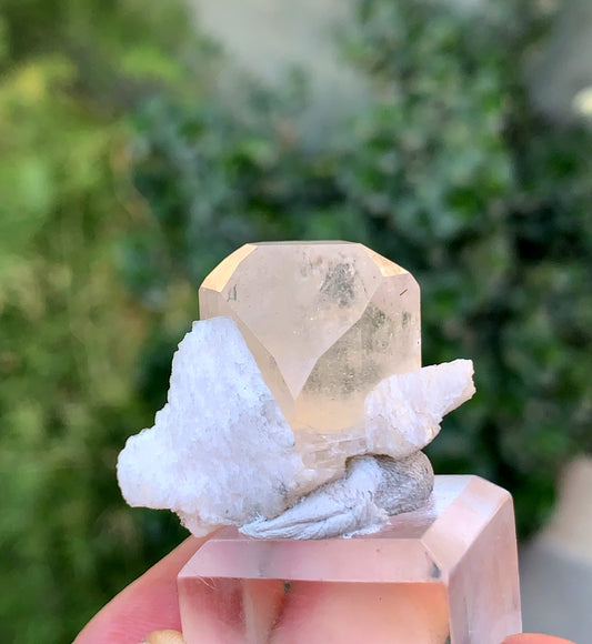 Natural Terminated Topaz Crystal On lbite From Pakistan 23 Gram