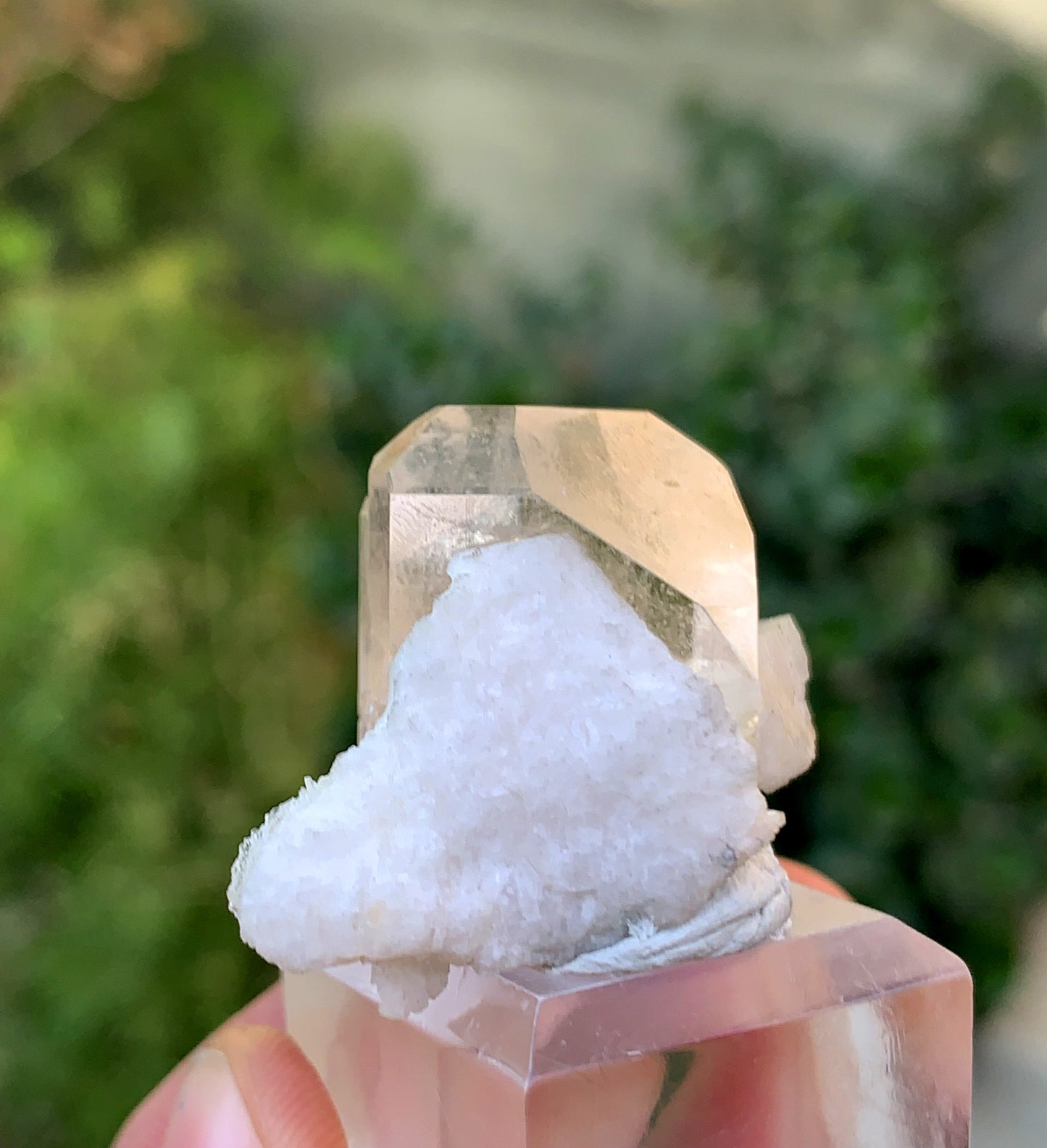 Natural Terminated Topaz Crystal On lbite From Pakistan 23 Gram