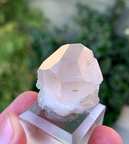 Natural Terminated Topaz Crystal On lbite From Pakistan 23 Gram