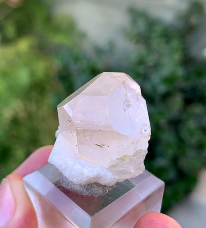 Natural Terminated Topaz Crystal On lbite From Pakistan 23 Gram