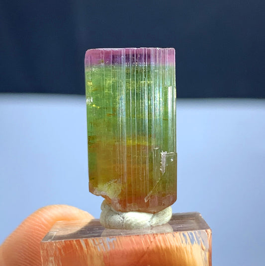 Watermelon Tourmaline Crystal from Afghanistan - 29 carats