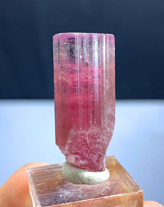 Bicolor Tourmaline Crystal from Paprok Afghanistan - 37.50 carats