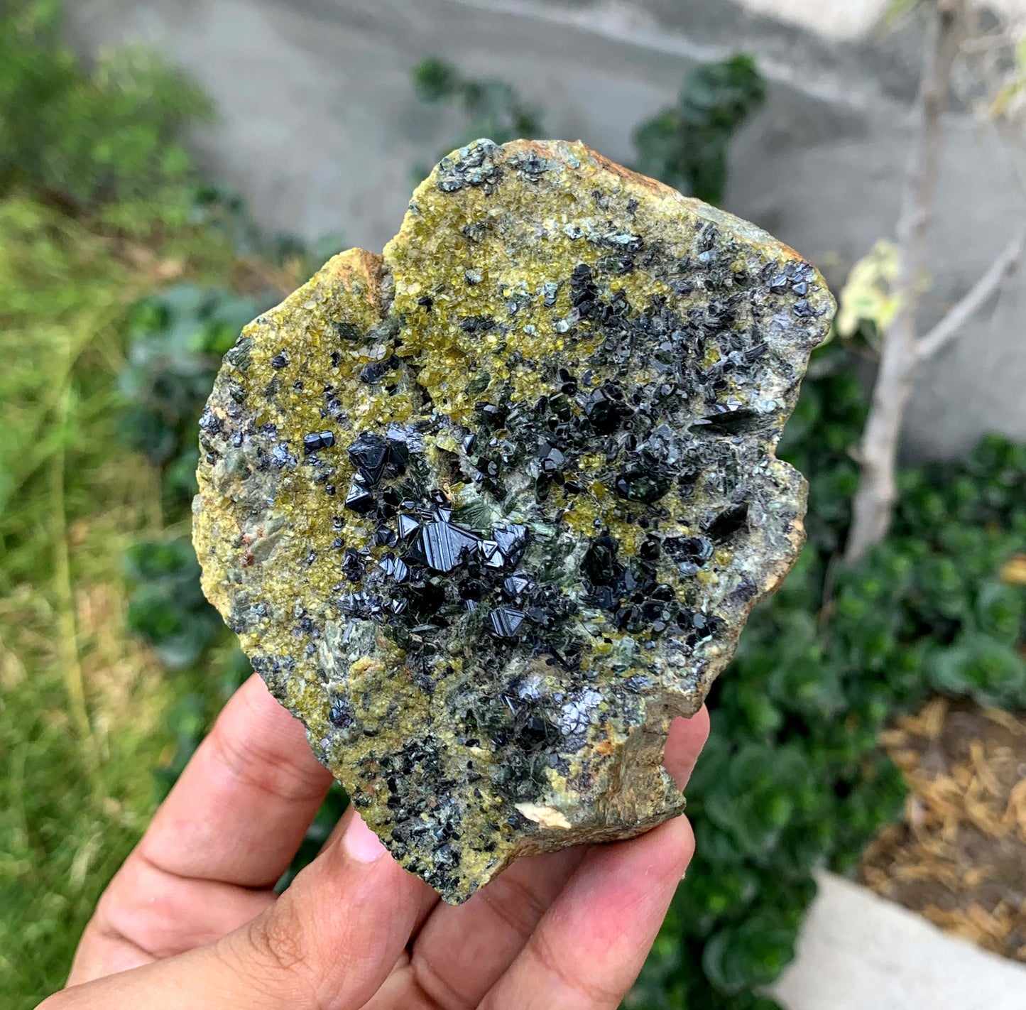 Natural Magnatite Crystal With Diopside And Epidot From Pakistan 327 Gram