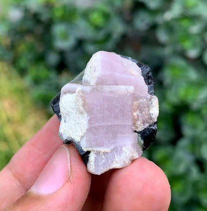 Fluorescent Pink Apatite Crystal With Tourmaline From Pakistan