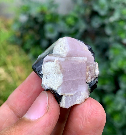 Fluorescent Pink Apatite Crystal With Tourmaline From Pakistan