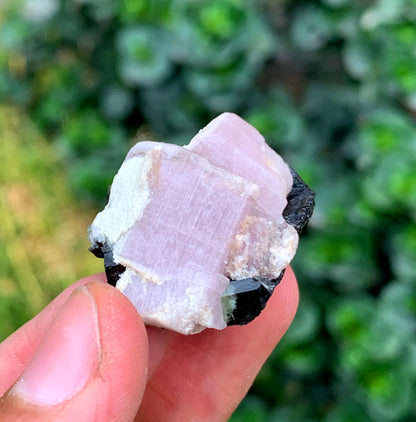 Fluorescent Pink Apatite Crystal With Tourmaline From Pakistan