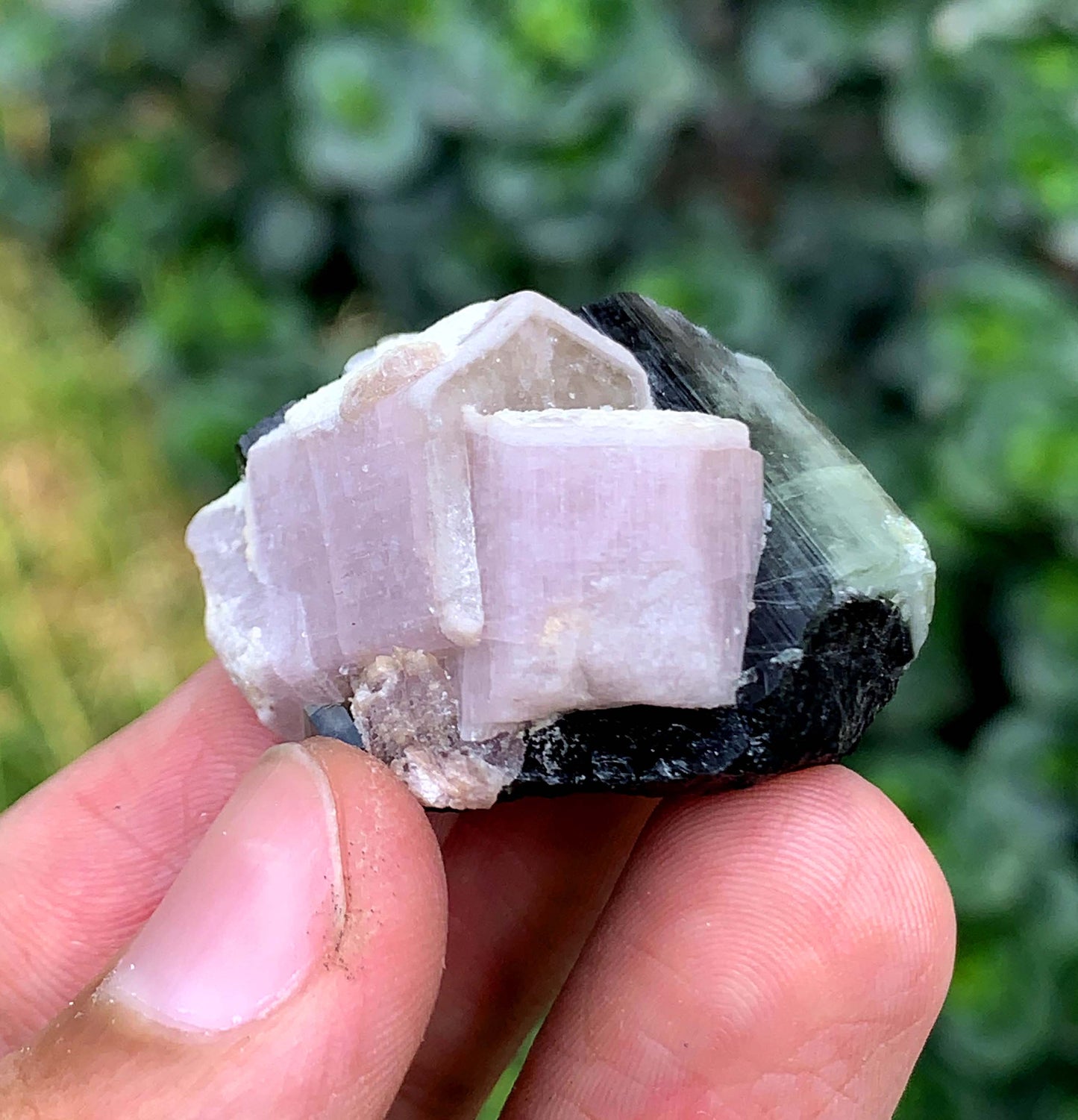 Fluorescent Pink Apatite Crystal With Tourmaline From Pakistan
