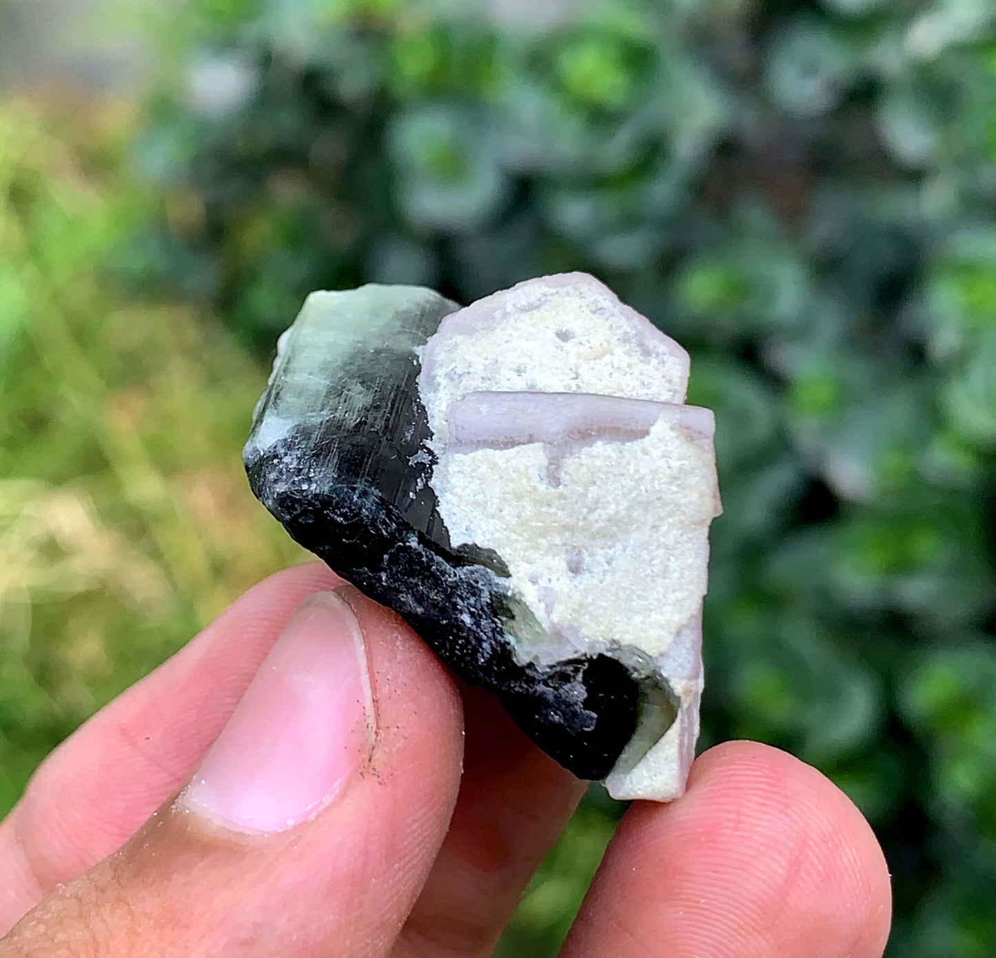 Fluorescent Pink Apatite Crystal With Tourmaline From Pakistan