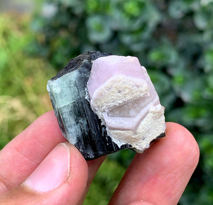 Fluorescent Pink Apatite Crystal With Tourmaline From Pakistan