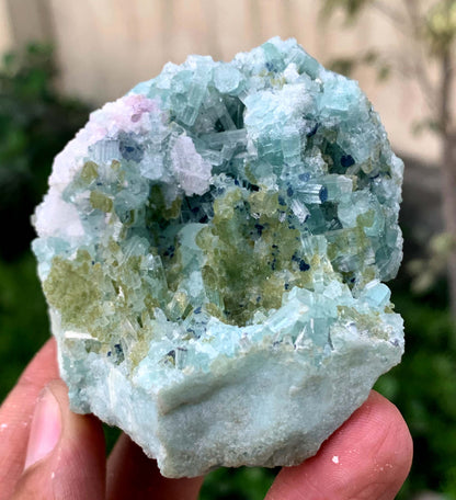 Bluish Green Tourmaline Crystals Cluster On Matrix From Afghanistan