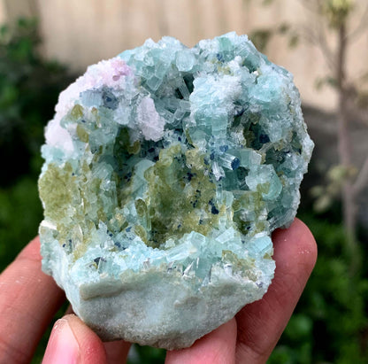 Bluish Green Tourmaline Crystals Cluster On Matrix From Afghanistan