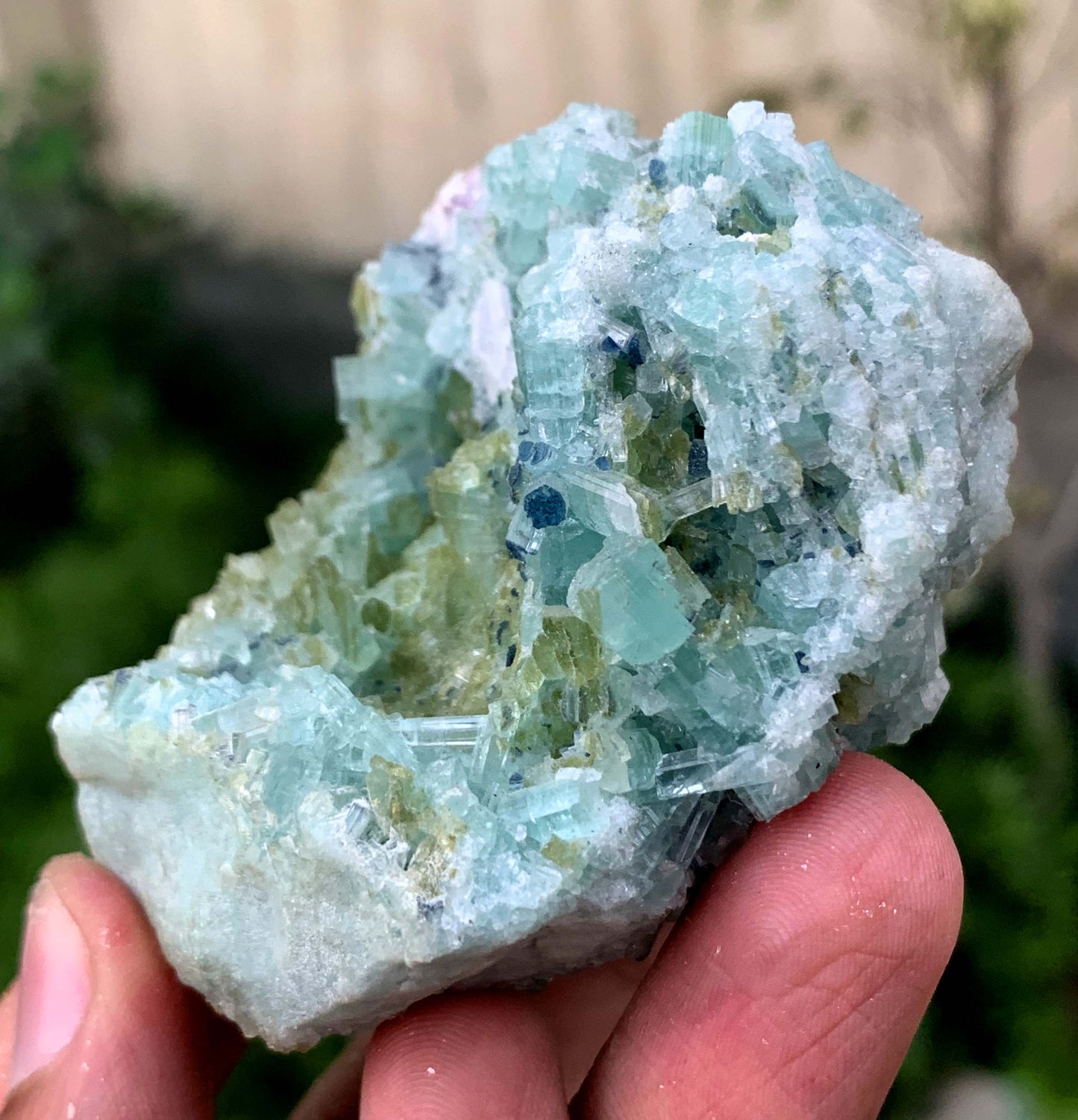 Bluish Green Tourmaline Crystals Cluster On Matrix From Afghanistan
