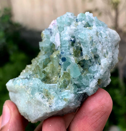 Bluish Green Tourmaline Crystals Cluster On Matrix From Afghanistan