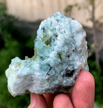 Bluish Green Tourmaline Crystals Cluster On Matrix From Afghanistan