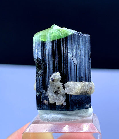 Natural Green Cap Tourmaline Crystal from Pakistan - 112 carat