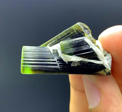 NAtural Terminated Green Cap Tourmaline Crystal From Afghanistan - 38.30 Carats