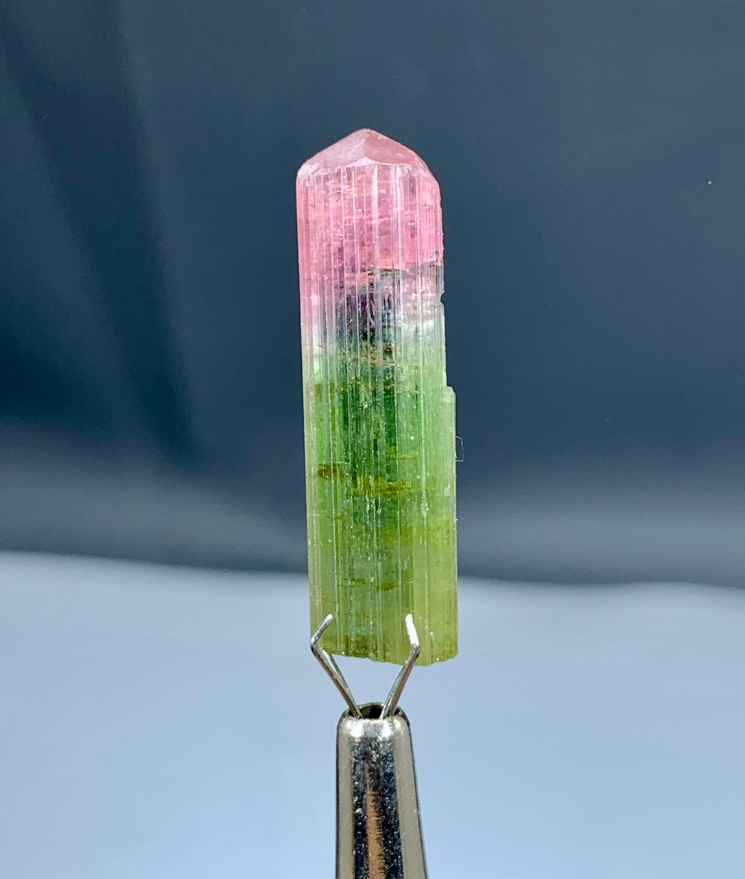 Tourmaline Crystal from Paprok Afghanistan - 22.50 carats