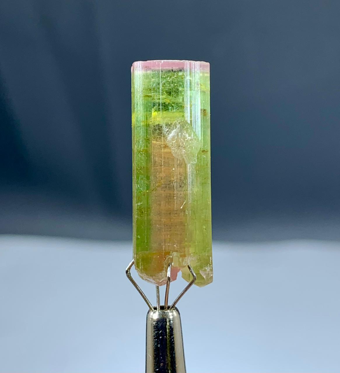 Watermelon Tourmaline Crystal from Paprok Afghanistan - 34.50 carats