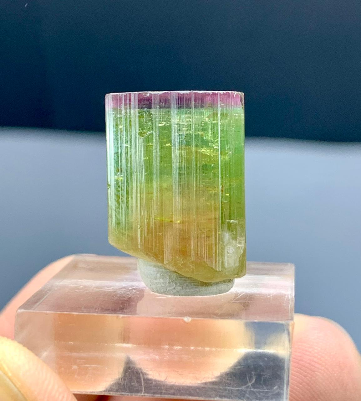 Watermelon Tourmaline Crystal Afghanistan - 33.50 carats