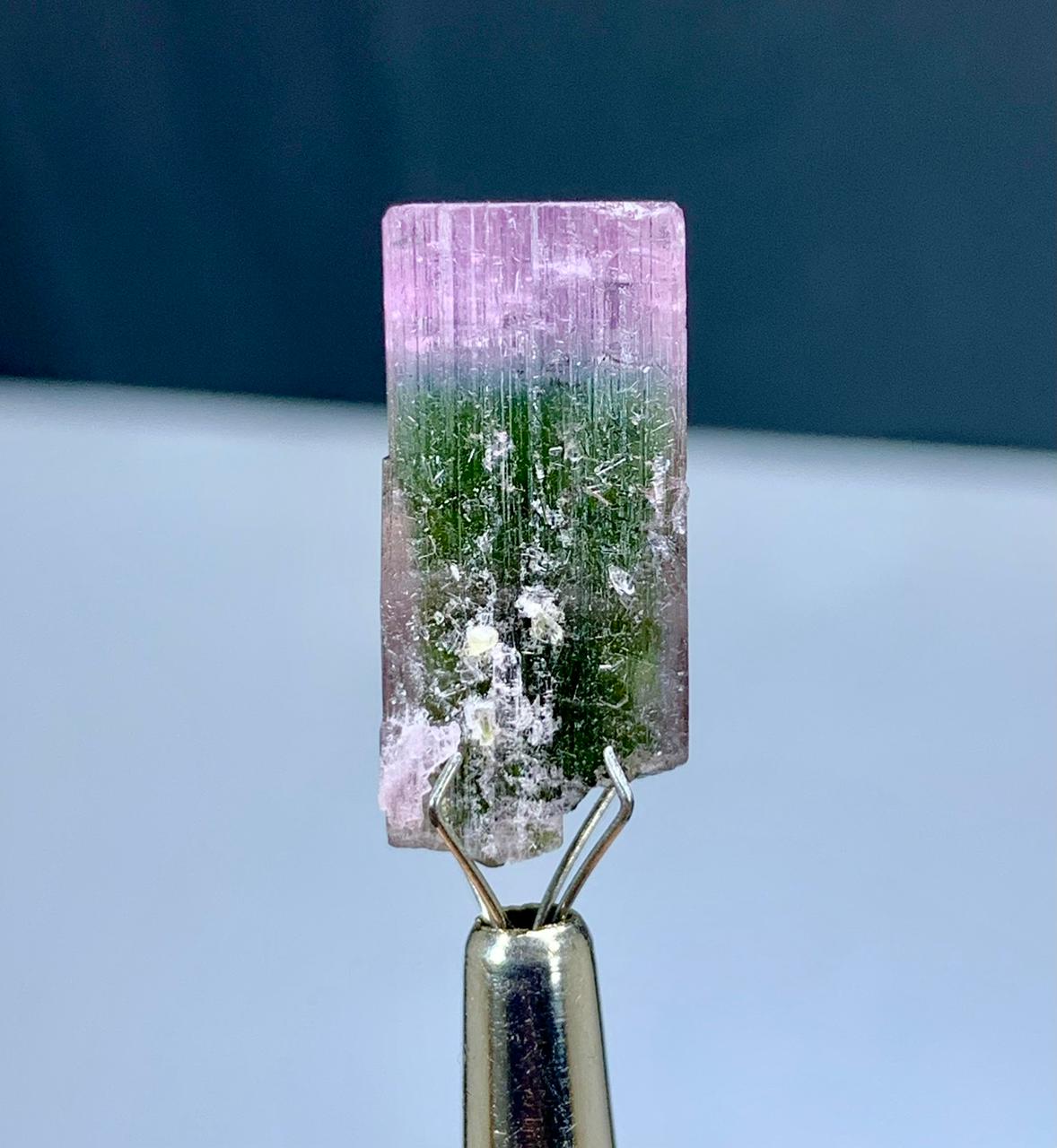 Bicolor Tourmaline Crystal from Afghanistan - 17.50 carats