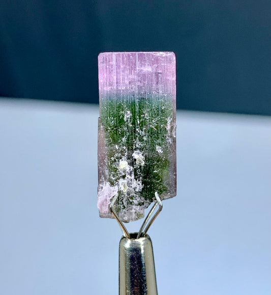 Bicolor Tourmaline Crystal from Afghanistan - 17.50 carats