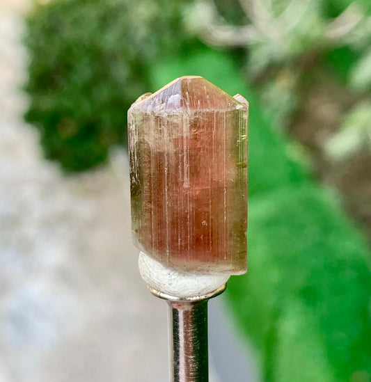 Tourmaline Crystal from Paprok Afghanistan - 31.50 carats