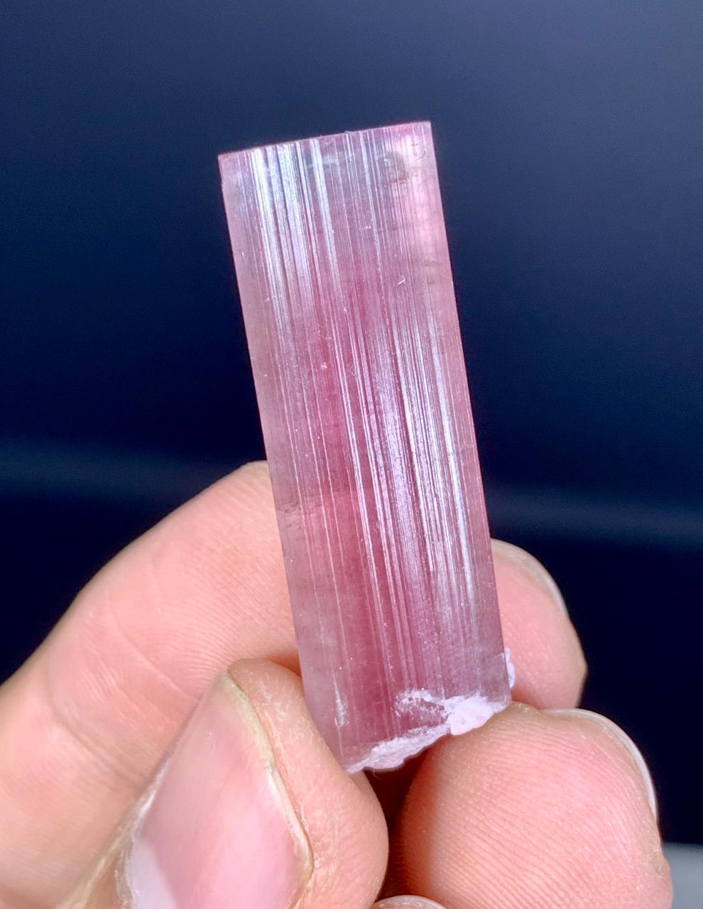 Bicolor Tourmaline Crystal from Paprok Afghanistan - 42.50 carats
