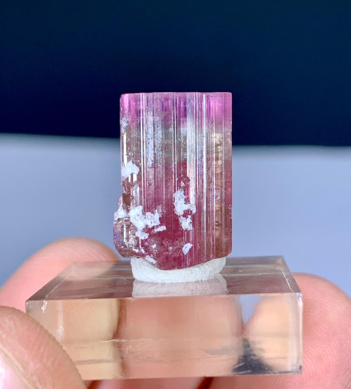 Watermelon Tourmaline Crystal from Paprok Afghanistan - 25.50 carats